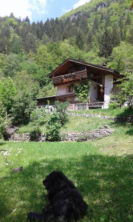 B&B Villa Ca'Praja Даоне Экстерьер фото